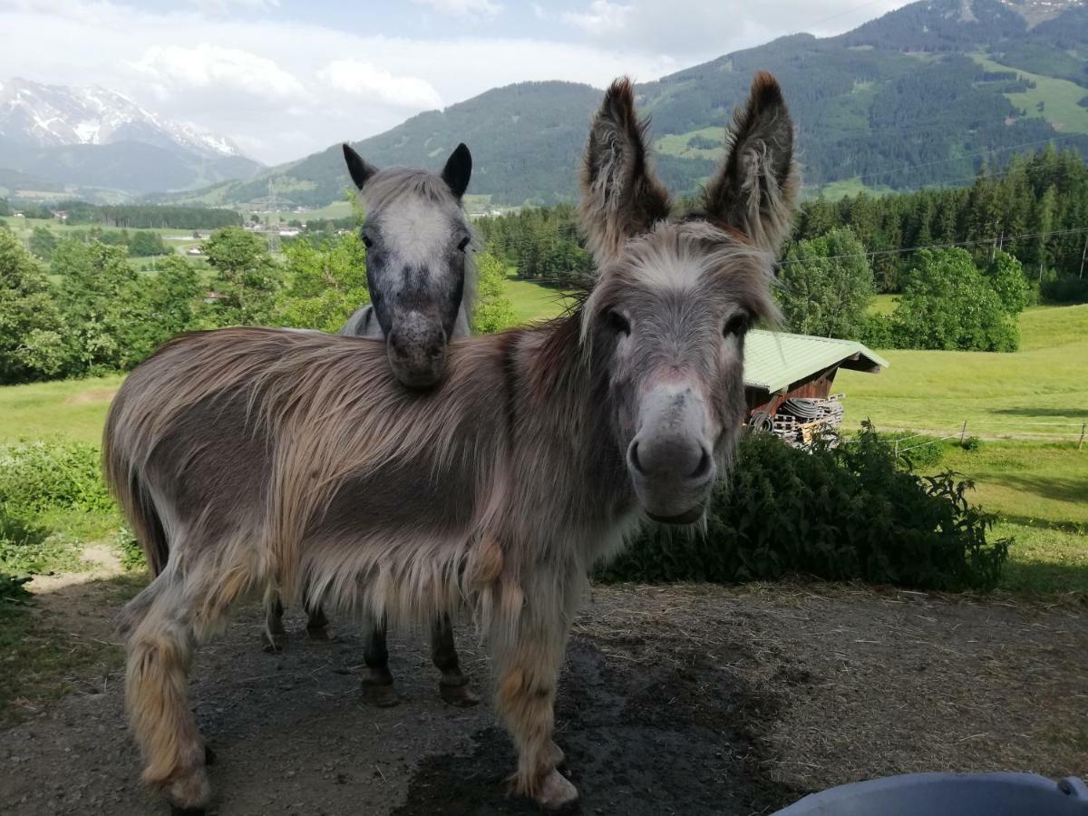 Hotel Oberstockinghof Saalfelden Esterno foto